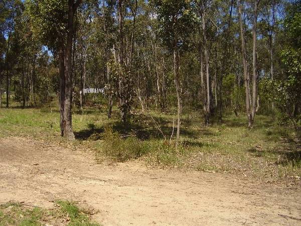 WATAGAN RISE ESTATE Picture 1