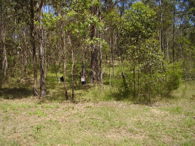 WATAGAN RISE ESTATE Picture 1