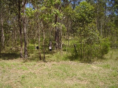 WATAGAN RISE ESTATE Picture