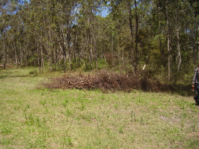 WATAGAN RISE ESTATE Picture 3