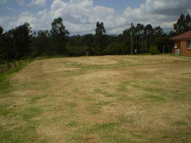 VACANT BLOCK Picture 2