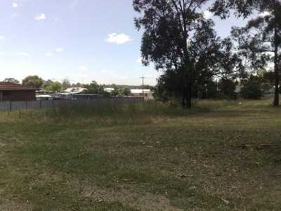 BARGAIN 1/4 ACRE Picture BARGAIN 1/4 ACRE Picture