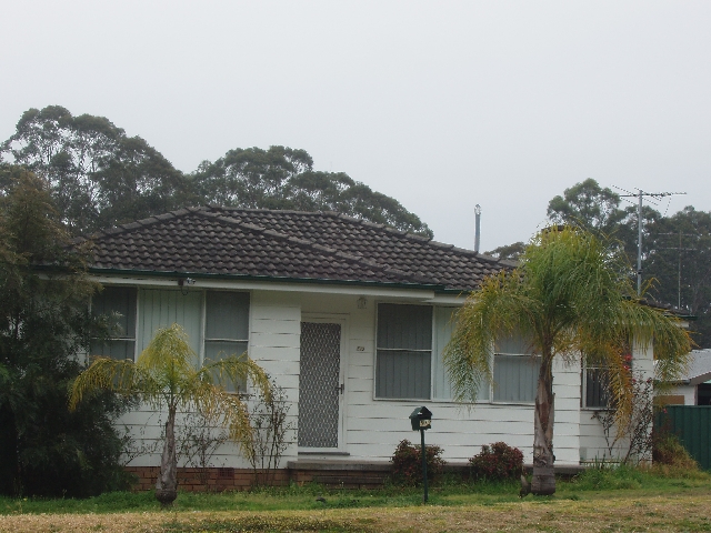 BELLBIRD Picture