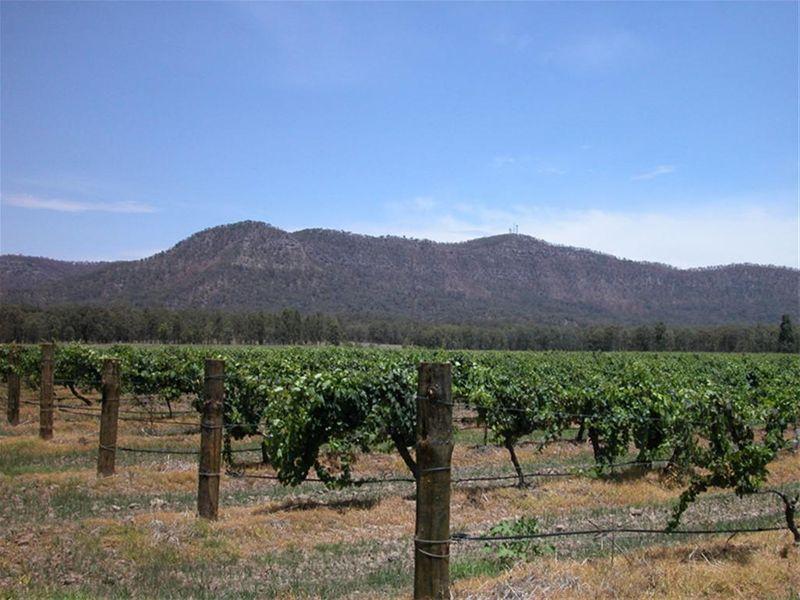 BENTWOOD ESTATE Picture 2