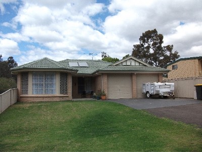 ATT: FAMILIES, GRANDMA, GRANDPA, GREHOUND LOVERS OR ANYONE WITH DOGS!!! Picture