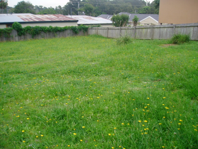 Minutes From Town Picture 2