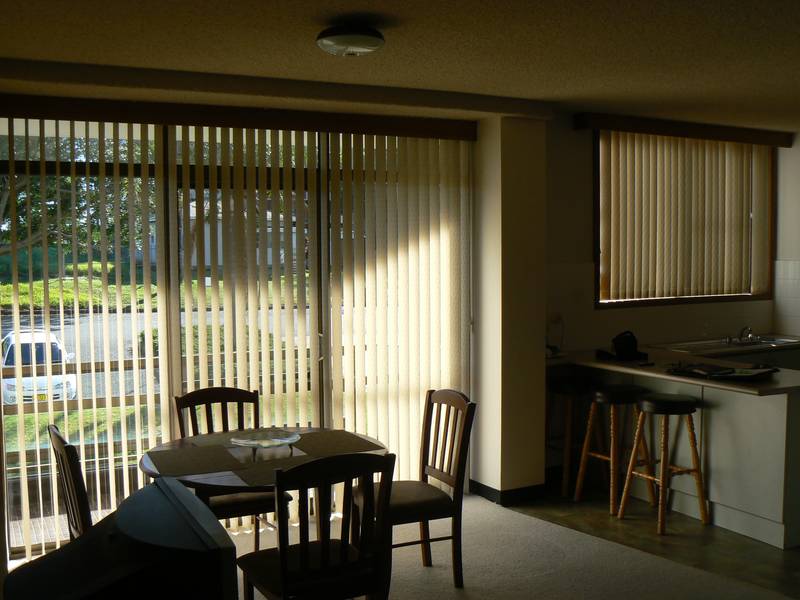 Close to Everything Picture 3