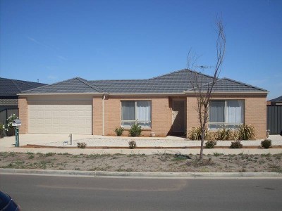 STOP dreaming and start living! Picture STOP dreaming and start living! Picture