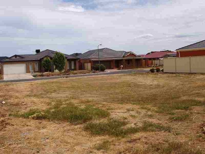 Make your Dream a Reality... Picture