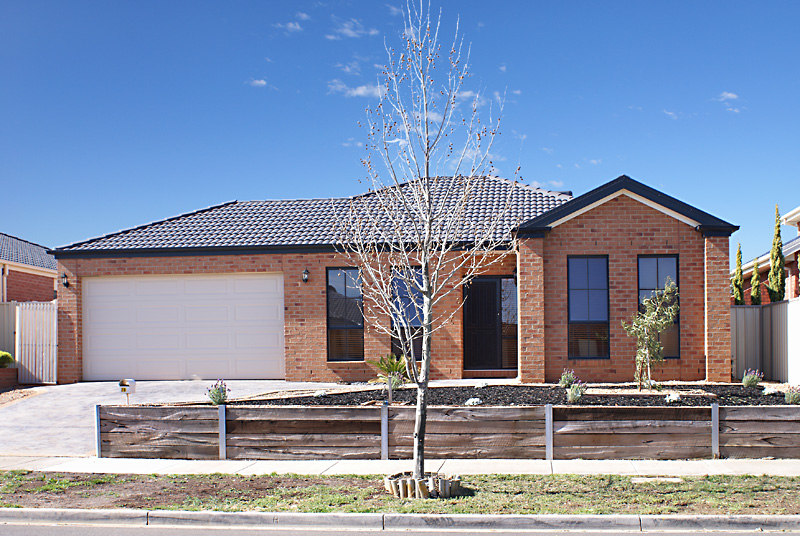 One Look Will Do! Picture 1