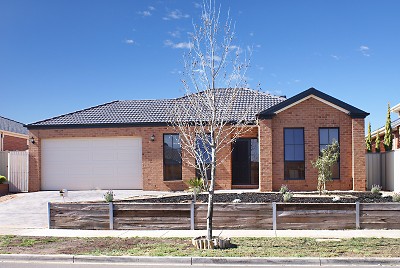 One Look Will Do! Picture