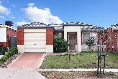 This Simply Won't Last! Picture This Simply Won't Last! Picture