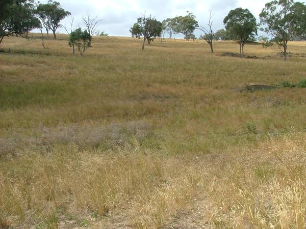 CRACKERJACK LITTLE PROPERTY-167 ACRES Picture