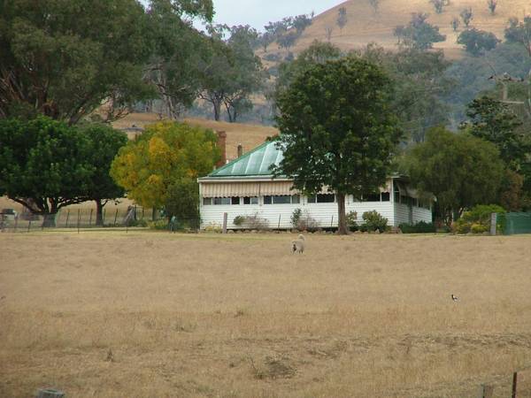 CRACKERJACK LITTLE PROPERTY-167 ACRES Picture