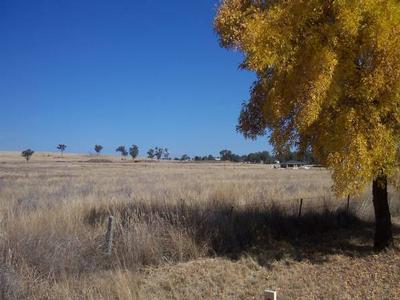 Choose your new home site at Calala Park Estate Picture