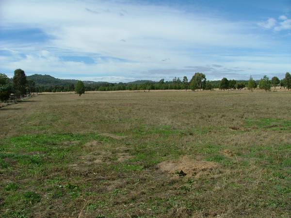 LEVEL 5 ACRE BLOCK Picture 1