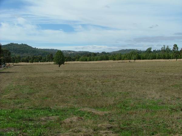 LEVEL 5 ACRE BLOCK Picture 2