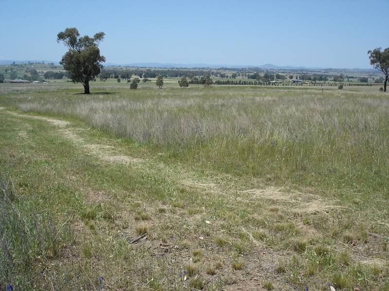 WONDERFUL LOCATION 1.5 KMS FROM TAMWORTH EQUINE CENTRE WITH HIGHWAY FRONTAGE Picture 3