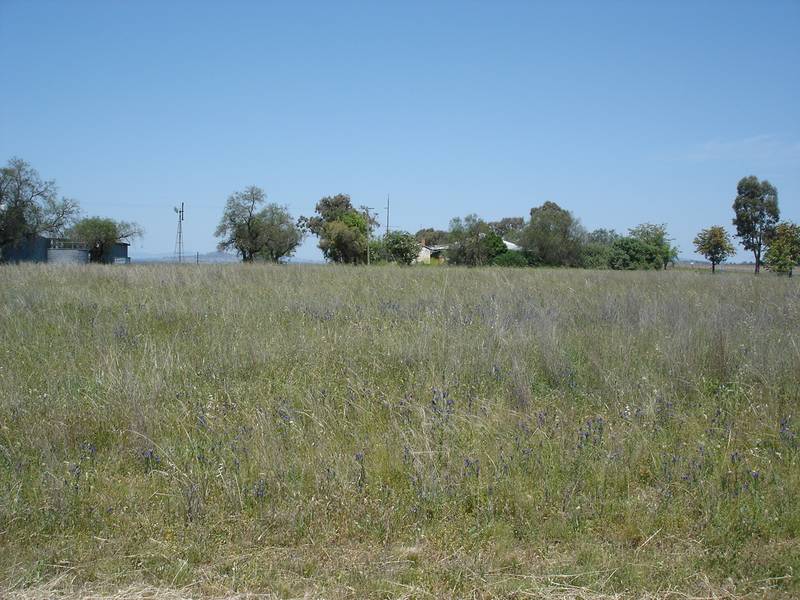 WONDERFUL LOCATION 1.5 KMS FROM TAMWORTH EQUINE CENTRE WITH HIGHWAY FRONTAGE Picture 1