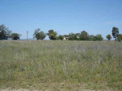 WONDERFUL LOCATION 1.5 KMS FROM TAMWORTH EQUINE CENTRE WITH HIGHWAY FRONTAGE Picture