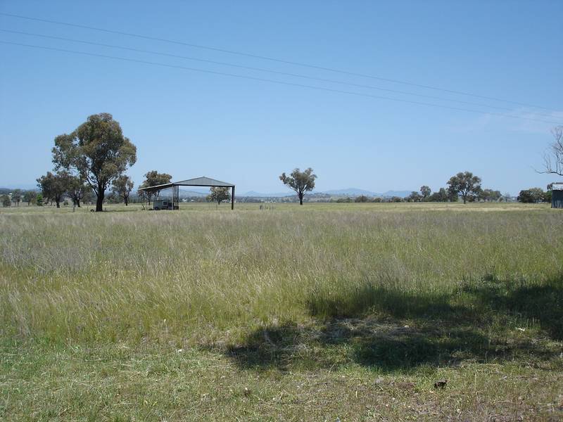 WONDERFUL LOCATION 1.5 KMS FROM TAMWORTH EQUINE CENTRE WITH HIGHWAY FRONTAGE Picture 2