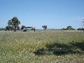 WONDERFUL LOCATION 1.5 KMS FROM TAMWORTH EQUINE CENTRE WITH HIGHWAY FRONTAGE Picture