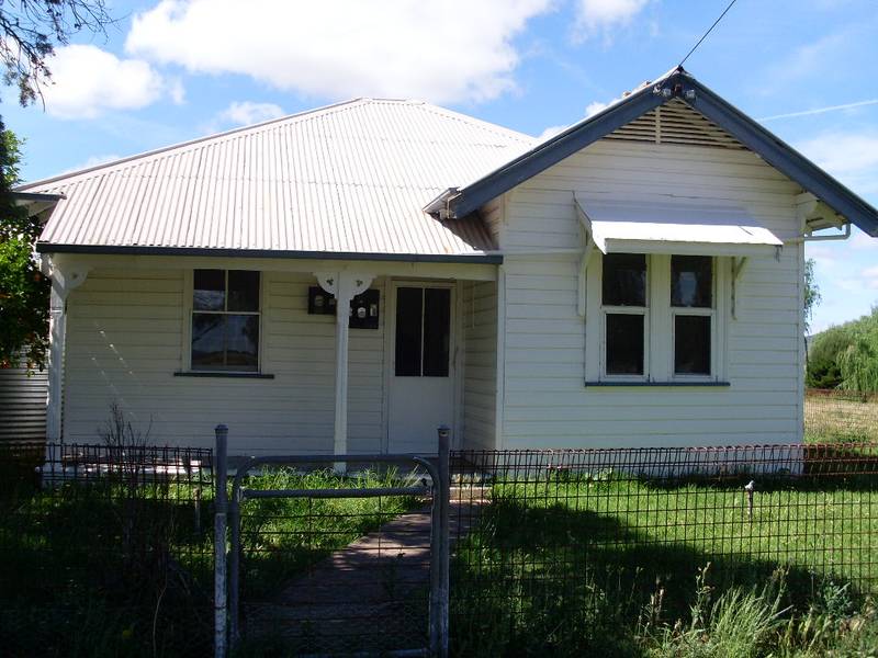 Horse Lovers Gem! Picture 1