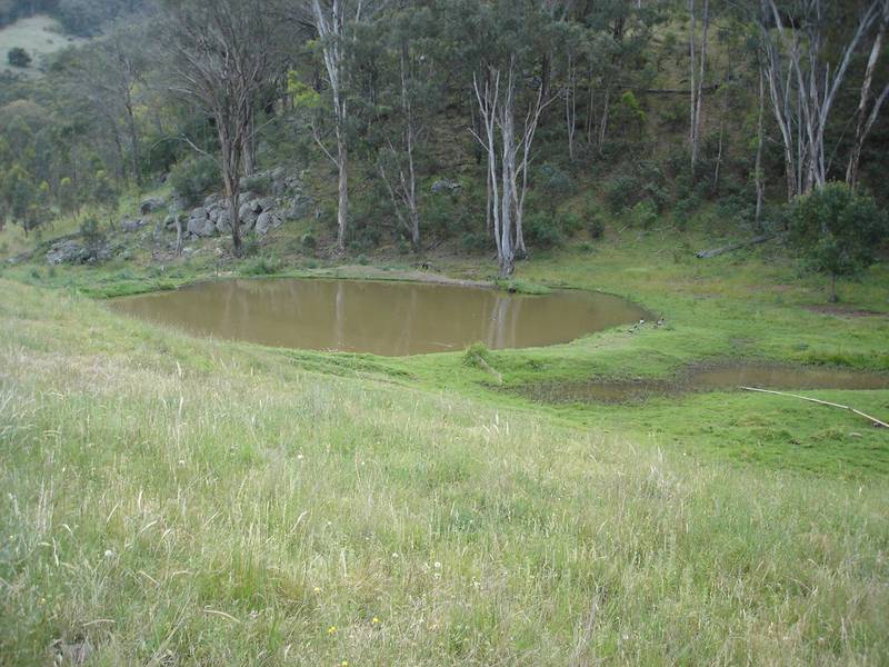 Calling All Horse Lovers! Picture