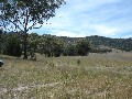 Get away from it and dream, 1200 acres open rolling to rugged hills in Tamworth district VENDOR HAS REDUCED PRICE TO MEE Picture