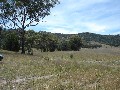 Get away from it and dream, 1200 acres open rolling to rugged hills in Tamworth district VENDOR HAS REDUCED PRICE TO MEE Picture Get away from it and dream, 1200 acres open rolling to rugged hills in Tamworth district VENDOR HAS REDUCED PRICE TO MEE Picture