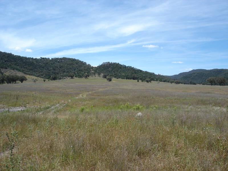 Get away from it and dream, 1200 acres open rolling to rugged hills in Tamworth district VENDOR HAS REDUCED PRICE TO MEE Picture 1
