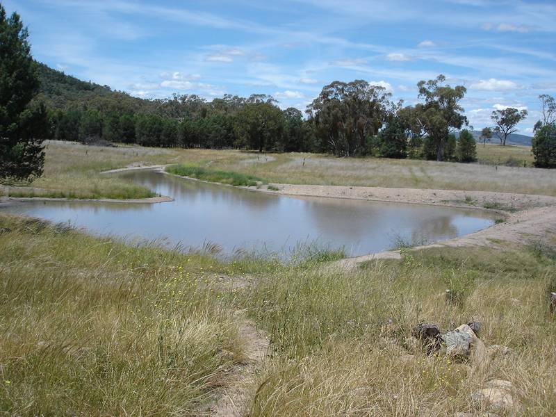 Get away from it and dream, 1200 acres open rolling to rugged hills in Tamworth district VENDOR HAS REDUCED PRICE TO MEE Picture 2