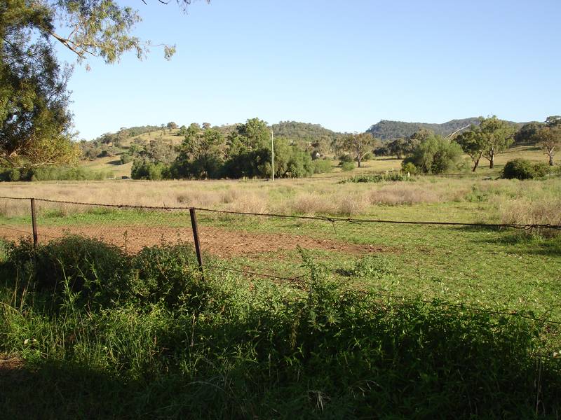 VACANT LAND - 5.1 ACRES IN CURRABUBULA Picture 2