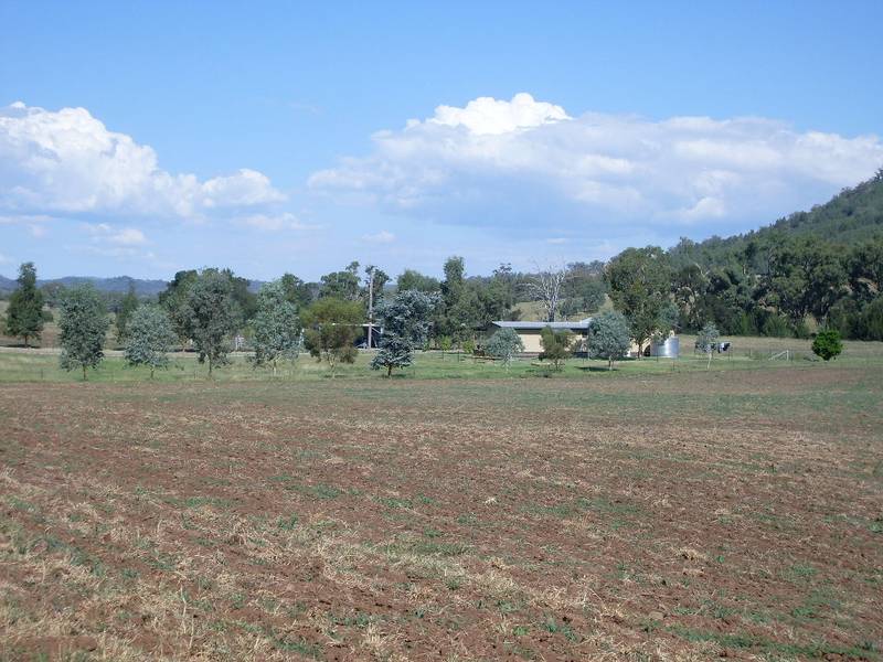 SPARKLING PRESENTATION, POPULAR AREA, PRETTY HOME, 80 GOOD ACRES Picture 1