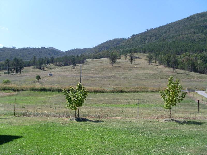 SPARKLING PRESENTATION, POPULAR AREA, PRETTY HOME, 80 GOOD ACRES Picture 2