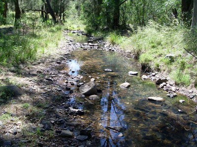 Adventure playground close to Tamworth on 286 acres COMMITTED VENDOR HAS REDUCED THE PRICE Picture