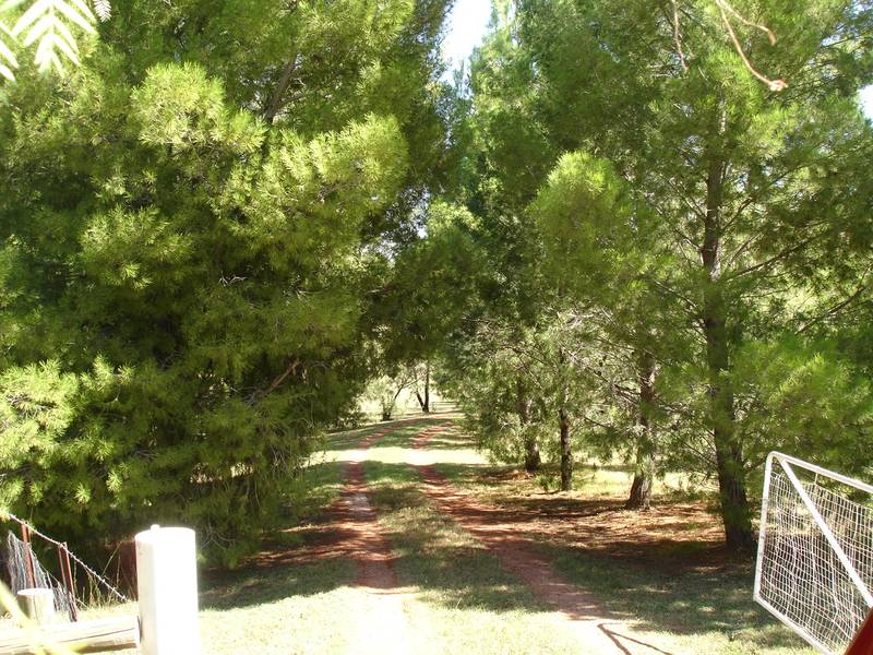 PRISTINE AND PRIVATE, 5.7 PARKLAND ACRES, JUST 14KM'S TO PEEL STREET Picture 1