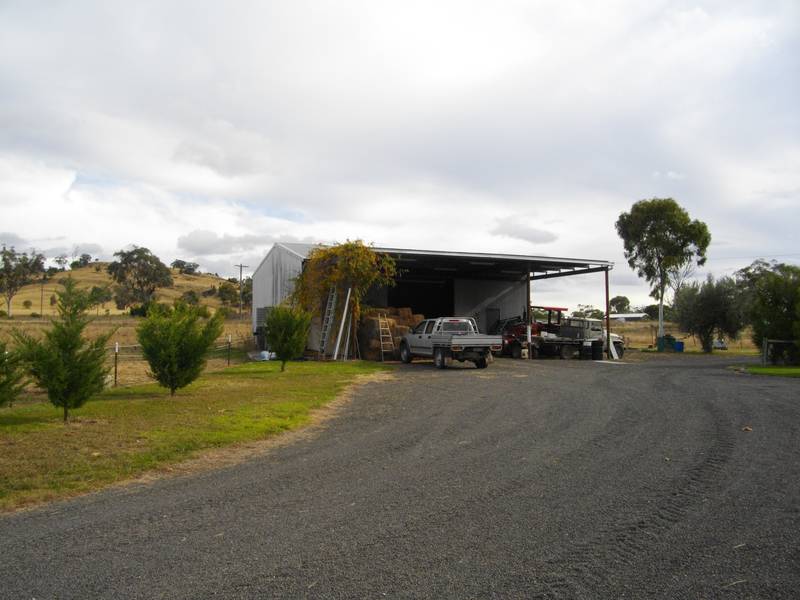 PRODUCTIVE- ATTRACTIVE LIFESTYLE- BIG HOME-IRRIGATION-156 ACRES-20 MINUTES TO TAMWORTH Picture 3