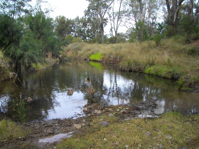 PRODUCTIVE- ATTRACTIVE LIFESTYLE- BIG HOME-IRRIGATION-156 ACRES-20 MINUTES TO TAMWORTH Picture 2