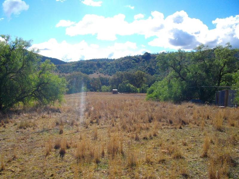 PEACEFUL AND TUCKED AWAY Picture 3