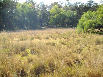 PEACEFUL AND TUCKED AWAY Picture