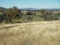 VERY PRETTY ACRES TO BUILD YOUR DREAM HOME ON Picture