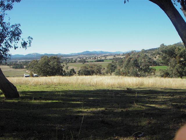 VERY PRETTY ACRES TO BUILD YOUR DREAM HOME ON Picture 2