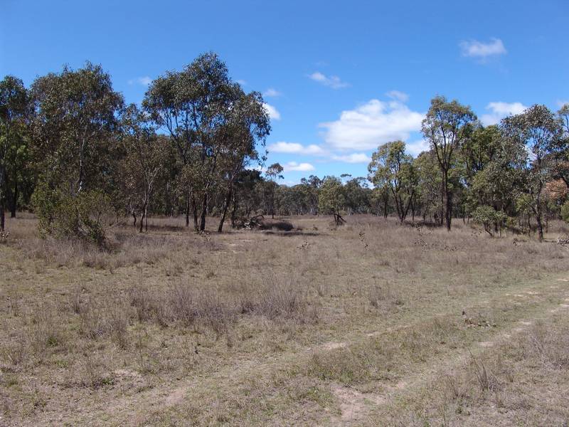 ATTRACTIVE GRAZING PROPERTY ON THE TABLELANDS Picture 2