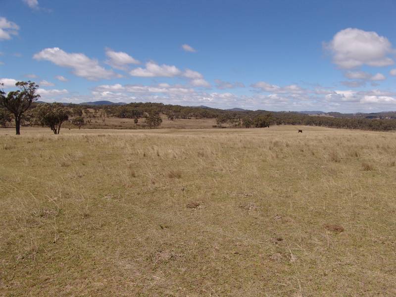 ATTRACTIVE GRAZING PROPERTY ON THE TABLELANDS Picture 3