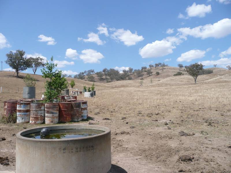 NICE OPEN BLOCK OF 43 HA'S CLOSE TO THE TOWN OF BARRABA Picture 1