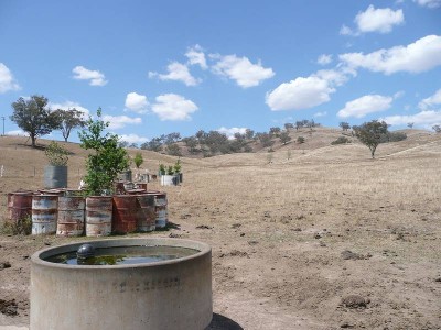 NICE OPEN BLOCK OF 43 HA'S CLOSE TO THE TOWN OF BARRABA Picture