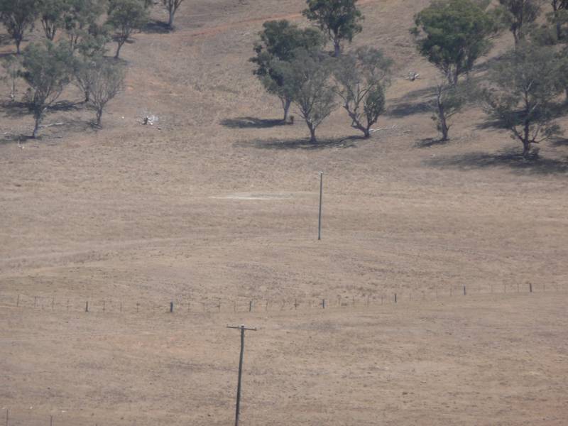 NICE OPEN BLOCK OF 43 HA'S CLOSE TO THE TOWN OF BARRABA Picture 2