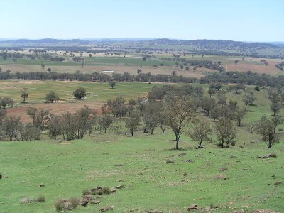 WELL PRESENTED AND MAINTAINED MIXED FARM OF 1027 ACRES Picture