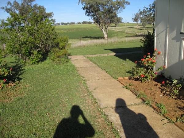 Peace and Tranquility Picture